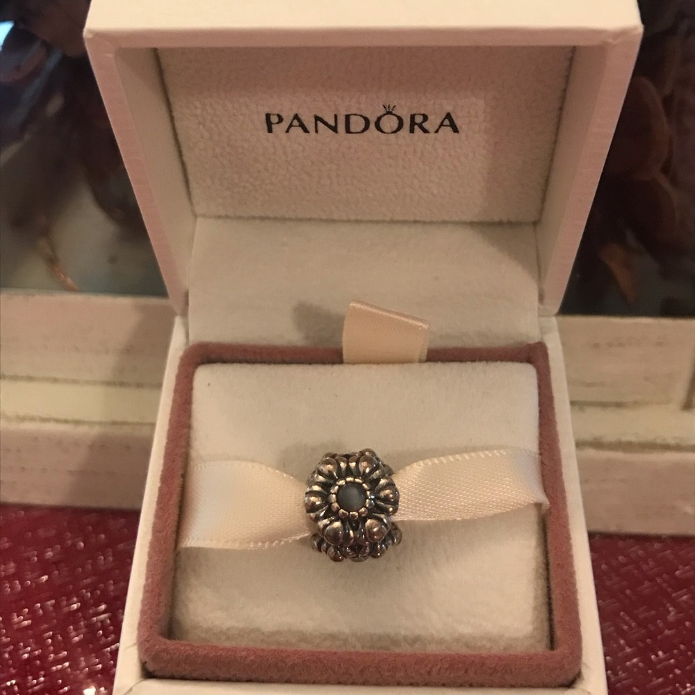 Pandora Charm